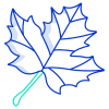 Maple icon