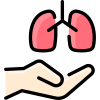 Pulmones icon