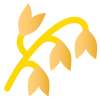 燕麦 icon