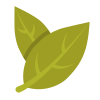 hoja de laurel icon