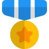 Star circle medal for the air force officers icon