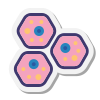 体细胞 icon