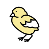 Chicken icon