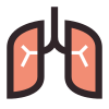 Pulmones icon