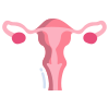 Uterus icon