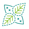 albahaca icon