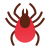 Mite icon