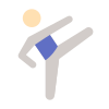 taekwondo-pele-tipo-1 icon