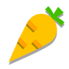 Carota icon