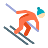 горные лыжи-тип кожи-1 icon