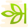 Ancestry icon