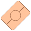 Pasaporte biométrico icon