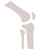 articulación de la rodilla icon