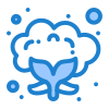 Cauliflower icon