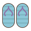 Flip Flops icon