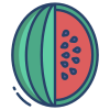 Water Melon icon