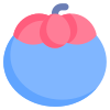 Mangosteen icon