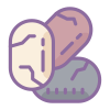 semi di chia icon