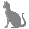 Katze icon