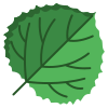 Quaking Aspen Leaf icon