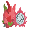 Drachenfrucht icon