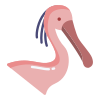 Spoonbill icon