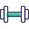 Dumbbell icon