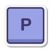 p 键 icon