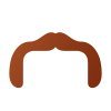 Horseshoe Mustache icon