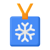 Ski Pass icon