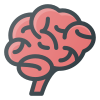 Brain icon