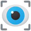 Vision icon