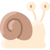 Snail icon