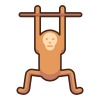 Orang-outan icon