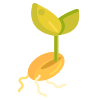 Seed icon