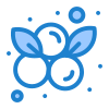 Blueberry icon