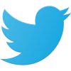 Twitter Logo icon