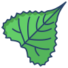 Eastern Cottonwood Leaf icon