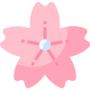 Kirschblüte icon