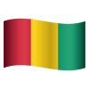 Guinea icon