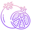 Pomegranate icon