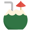 Coconut Drink icon