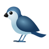 Pájaro icon