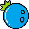 Blueberry icon