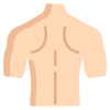 Male Body icon