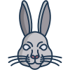 Rabbit icon