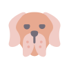 German Rough-Haired Pointer icon