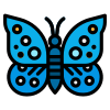 Mariposa icon