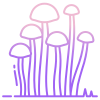 Enokitake Mushroom icon