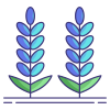 Lavender icon